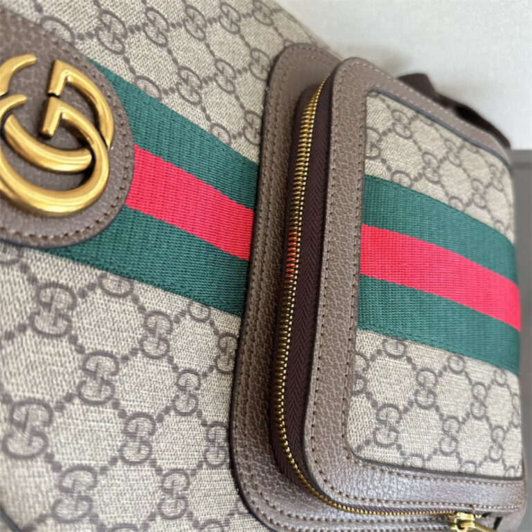 GUCCI Women Bag Backpack 26-30CM - Image 6