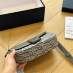 DIOR Women Bag Shoulder Bag 20-13CM