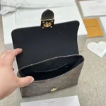 LV Louis Vuitton Lucky BB Handbag 21*17*8CM