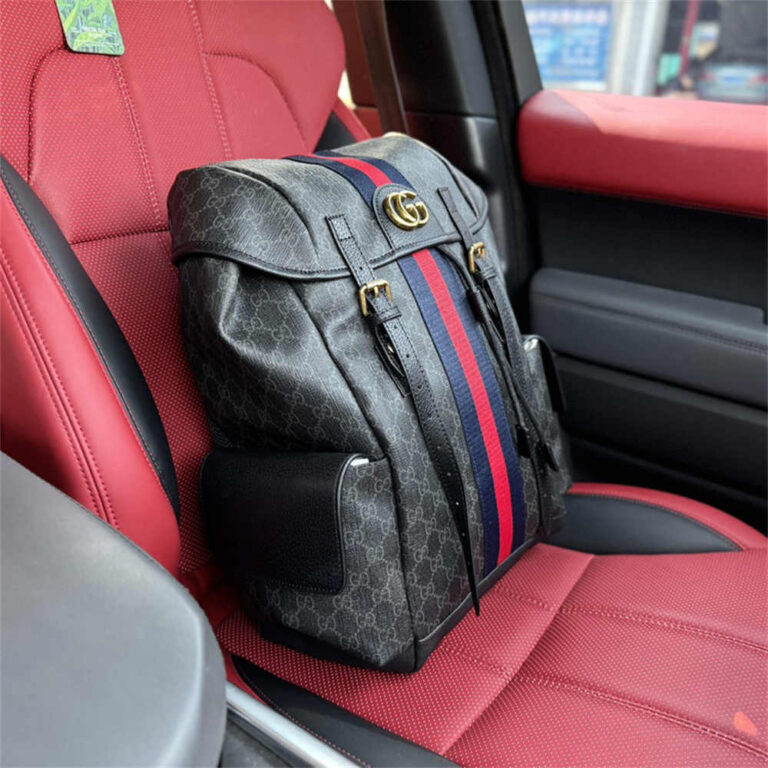 GUCCI Men Women Bag Backpack 32-41CM - Image 5