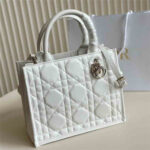 DIOR Man Women Bag Shoulder Bag 26-21CM - Image 6