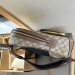GUCCI Women Bag Backpack 26-30CM