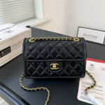 CHANEL Women Bag Shoulder Bag 22-14CM